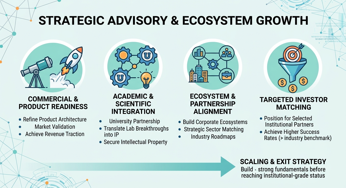 Strategic Advisory Beyond Traditional Venture Capital for Scale-Ups and Research Spin-Outs Ghana